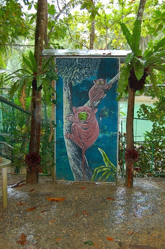ボホール島・フィリピンメガネサルのターシャ　※フィリピンにもあるんですね。こんな板。