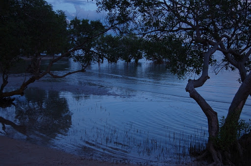 マイクロテル － マングローブ林に潮が満ちる夕暮れ