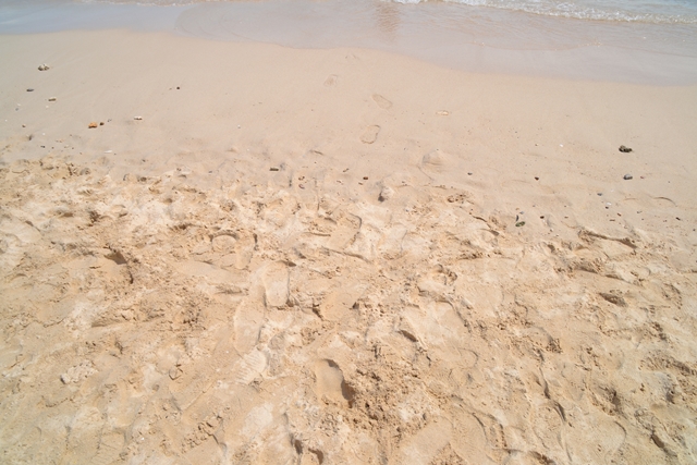 セームビーチ　－　砂の様子