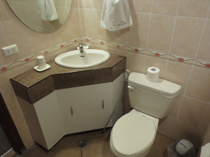 ホテル・ロイヤルアムステルダムのトイレと洗面（１）