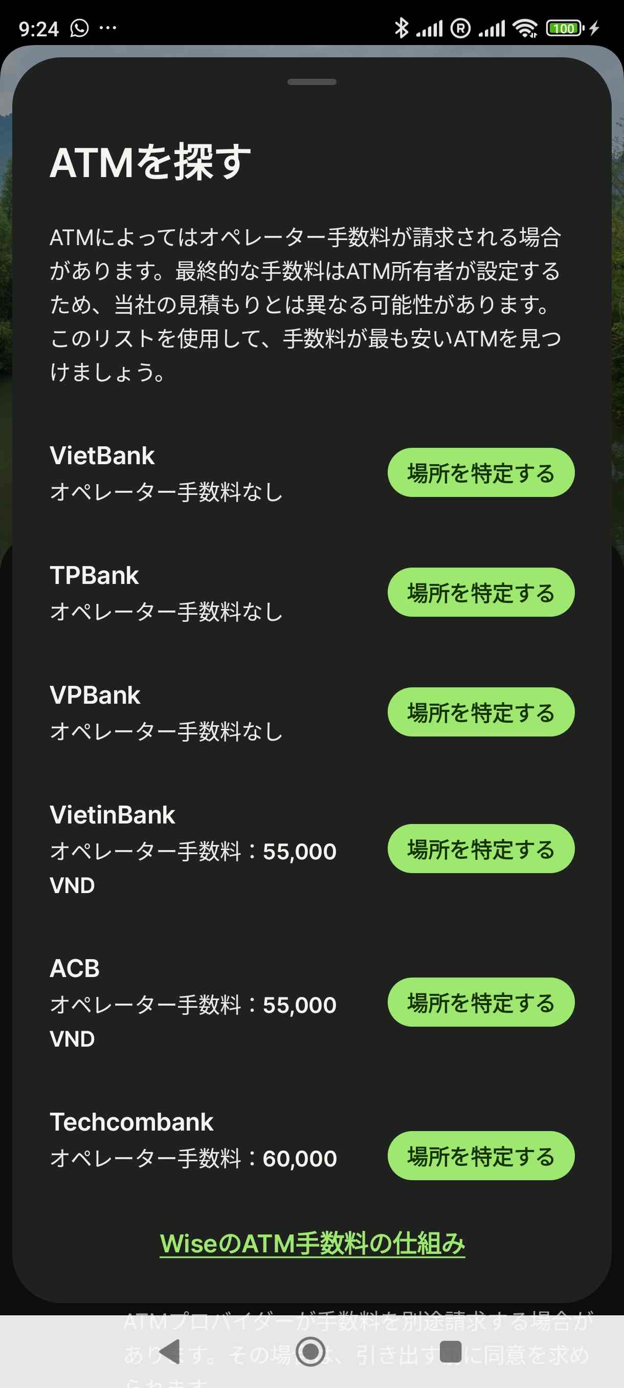 Wise 手数料表示 ベトナム